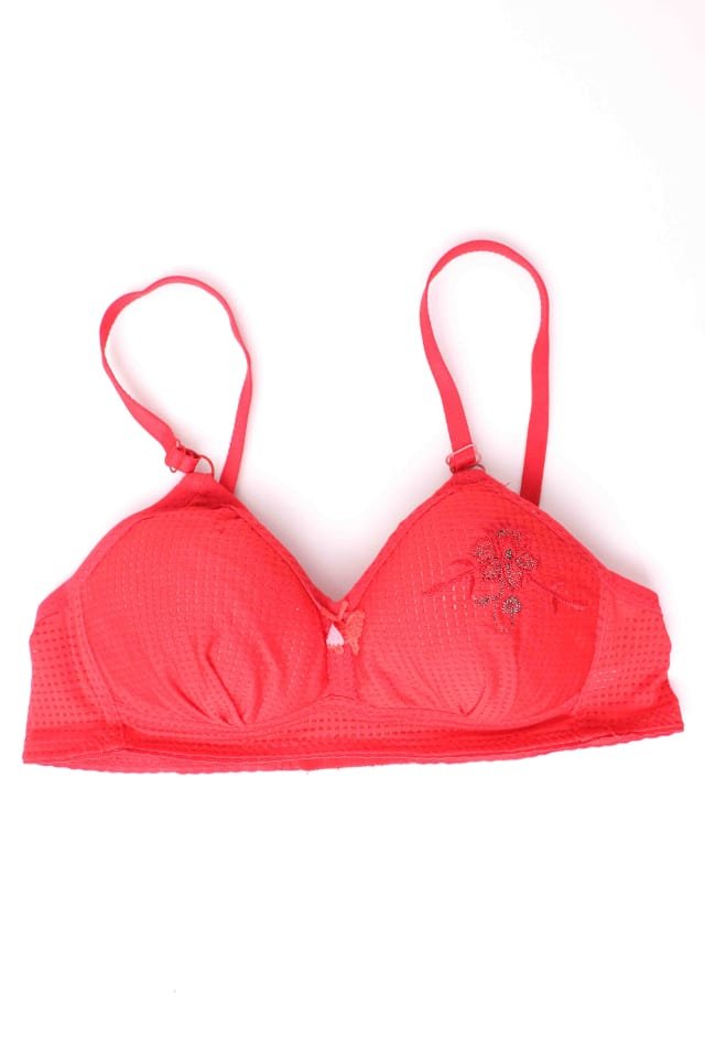 Women's Fashion Undergarments | Soft-padded polyester Nylon Wired Stretchable and breathable Bra | Push up bra