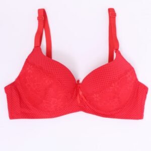 Nylon Cotton Spandex Push Up | Breathable Wired Red Bra