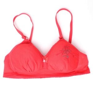 Women's Fashion Undergarments | Soft-padded polyester Nylon Wired Stretchable and breathable Bra | Push up bra